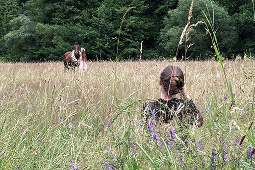 Pferdefotografin beim Fotografieren von einem Pferdeshooting