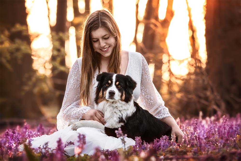 Hundefotografie mit einem Australian Shepherd und der Besitzerin in einem weißen Boho Kleid in einer Blumenwiese im Wald im Sonnenaufgang im Frühling bei einem Hundefotoshooting in Bonn/NRW von Vivien Schust Photography
