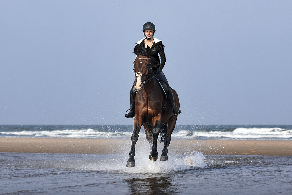 Fotografie von einem Pferd bei einem Pferdeshooting am Meer in Holland