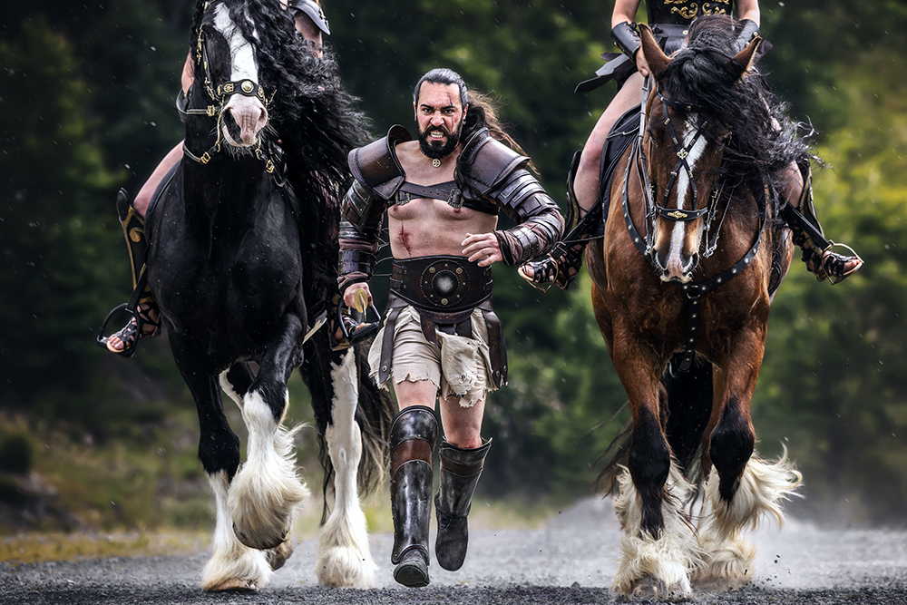 Der Gladiator mit seinen Rittern im Galopp bei einem Pferdeshooting im Frühling